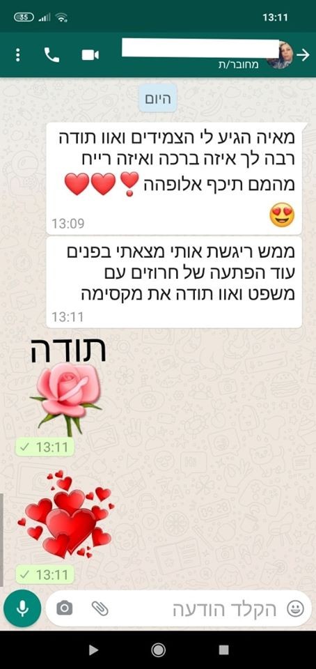 המלצה על מעצבת תכשיטים מאיה אהרוני